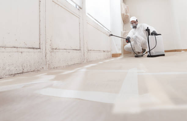 24/7 Emergency Black Mold Removal experts in Brentwood, NY
